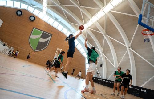 Basketball-F1